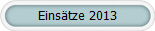 Einsätze 2013